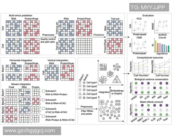 武汉足球队在钻石联赛中的心理素质分析与表现评估