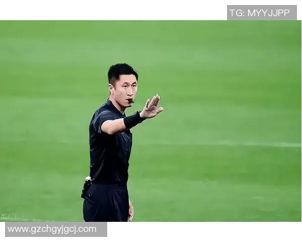 足球明星们如何评价马宁的裁判表现与职业素养