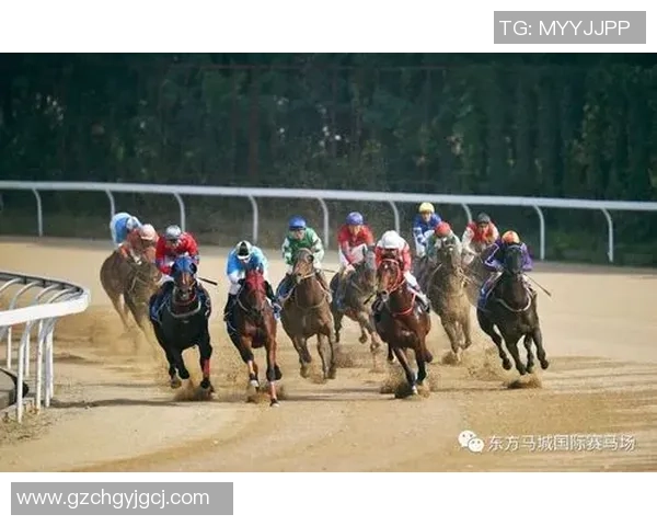 排球巨献:探秘武汉排球队的速度 排球巨献:探秘武汉排球队的速度