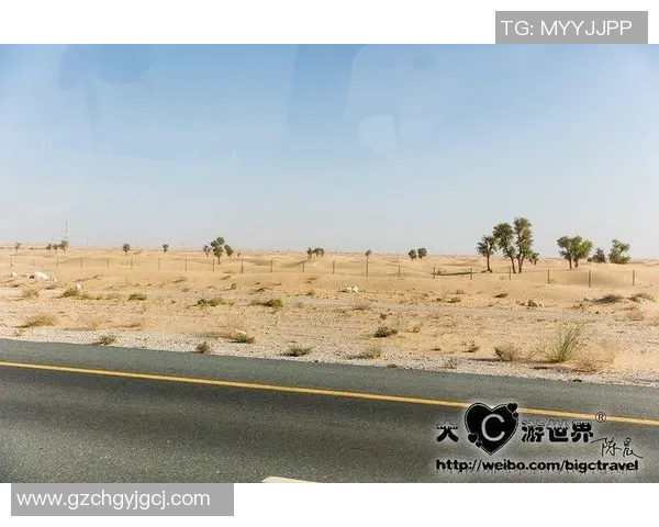 极限运动评论：成都极限运动队的边路渗透得失